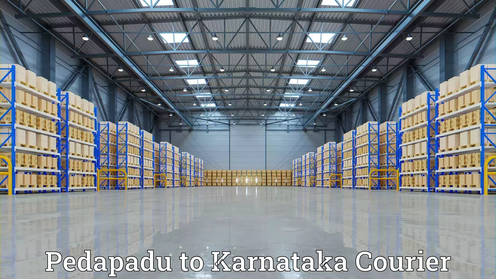 Professional packing and transport Pedapadu to Ankola