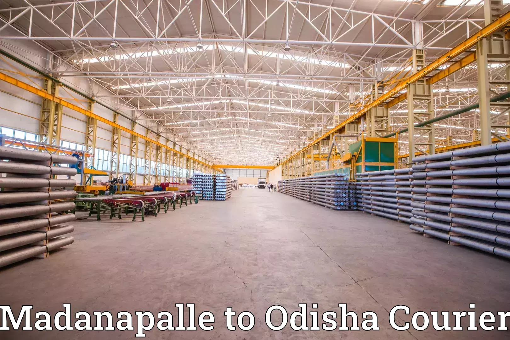 Cost-effective furniture movers Madanapalle to Odisha