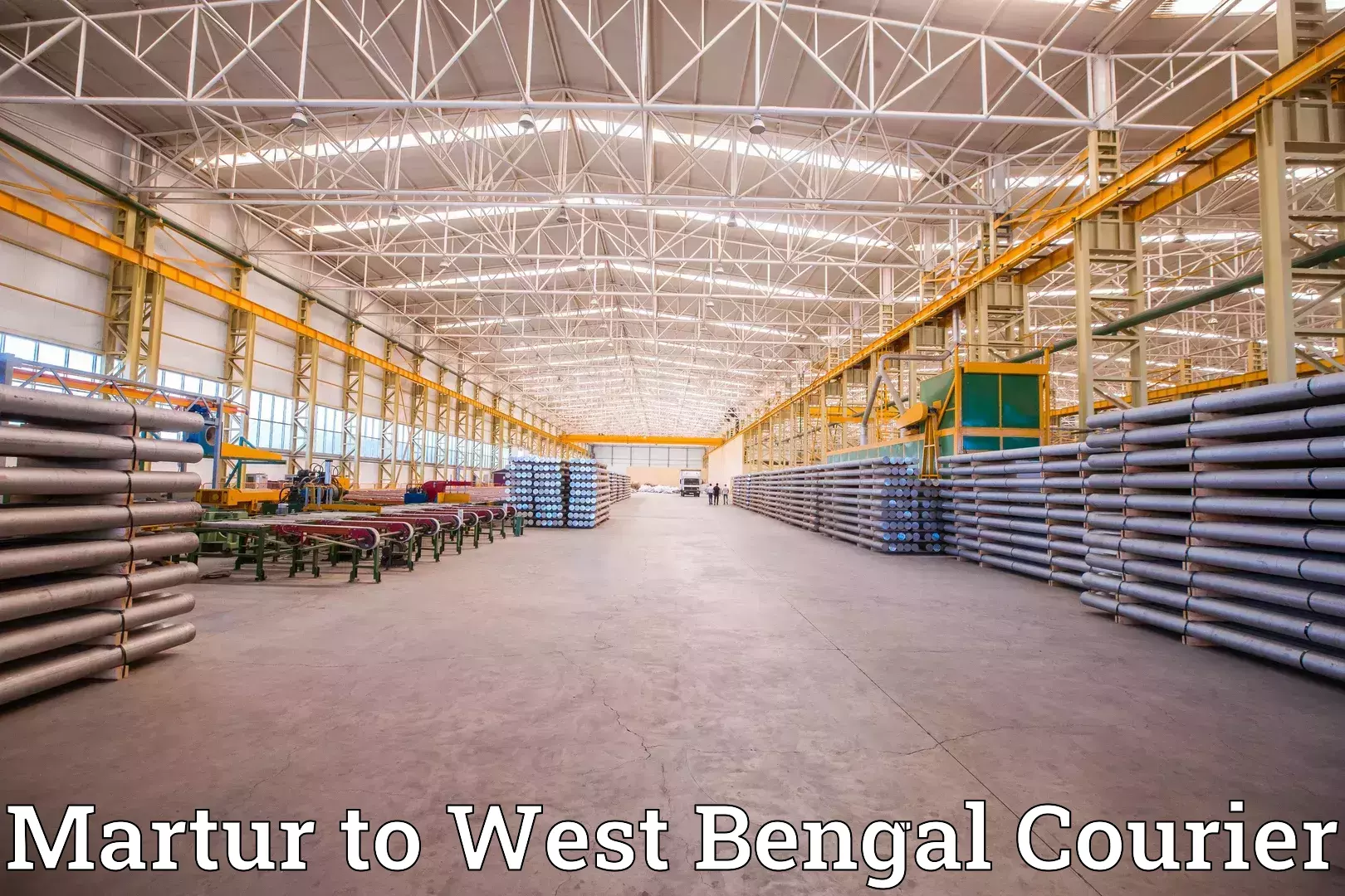 Household goods shipping Martur to Panihati