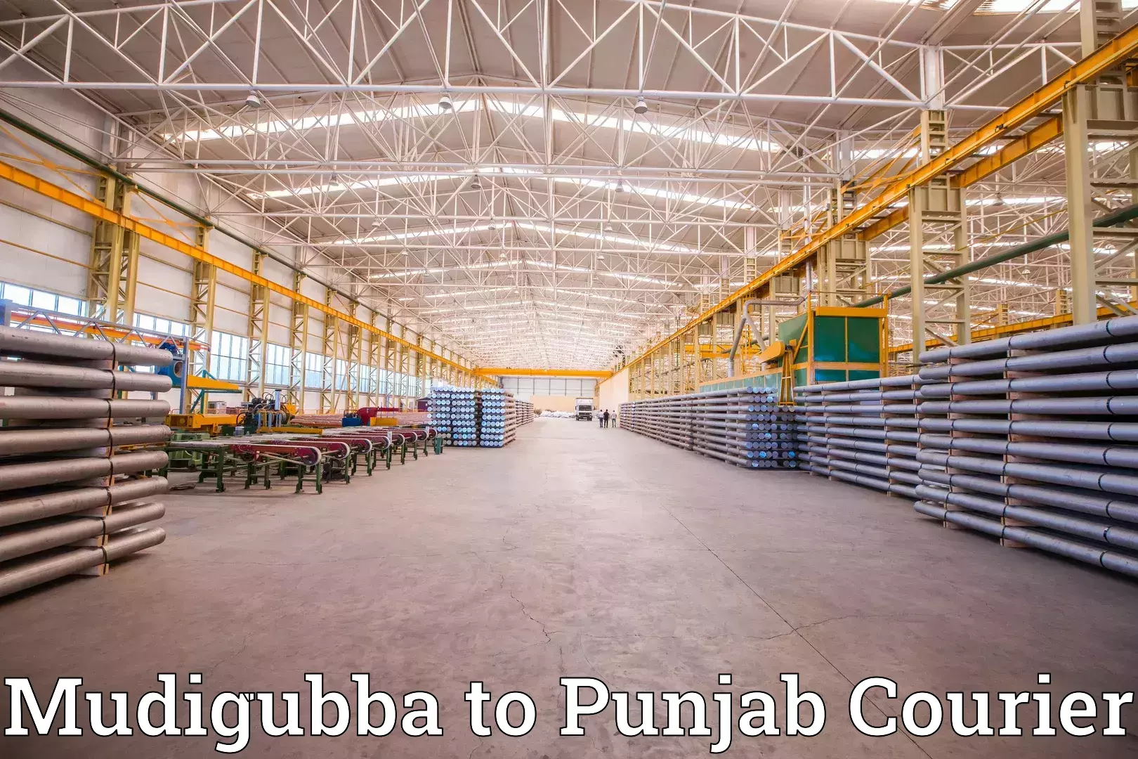 Home goods moving Mudigubba to Hoshiarpur