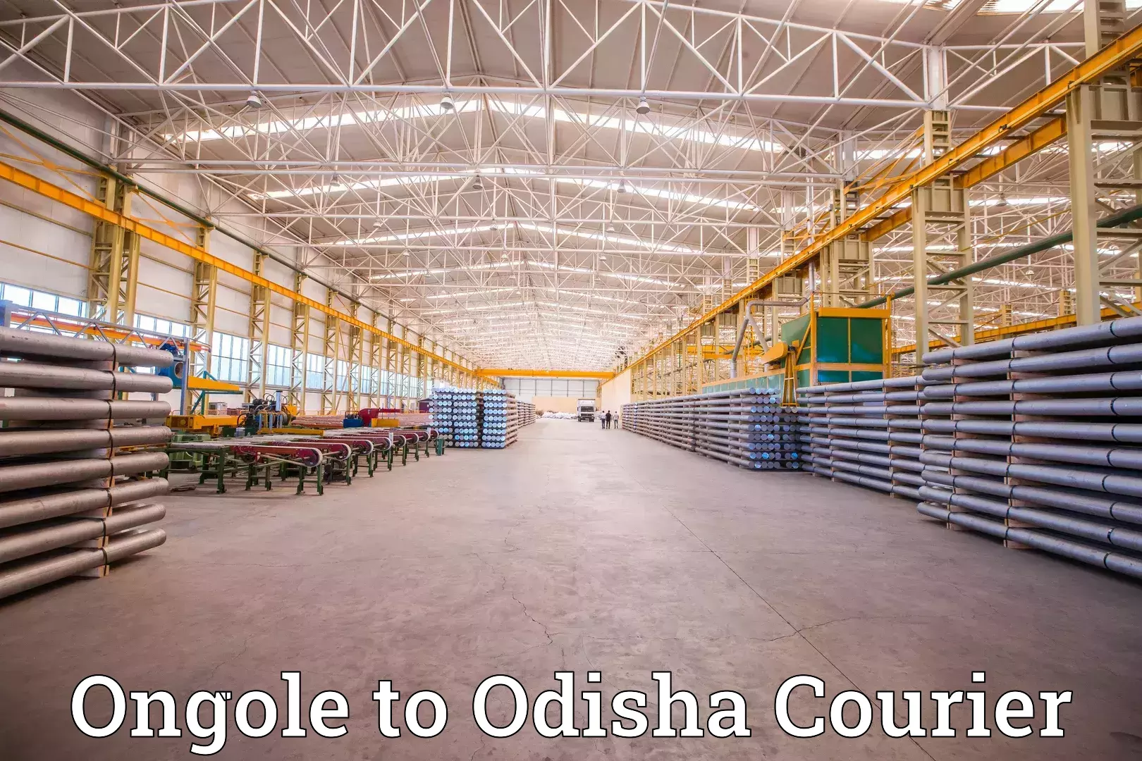 Professional moving assistance Ongole to Odisha