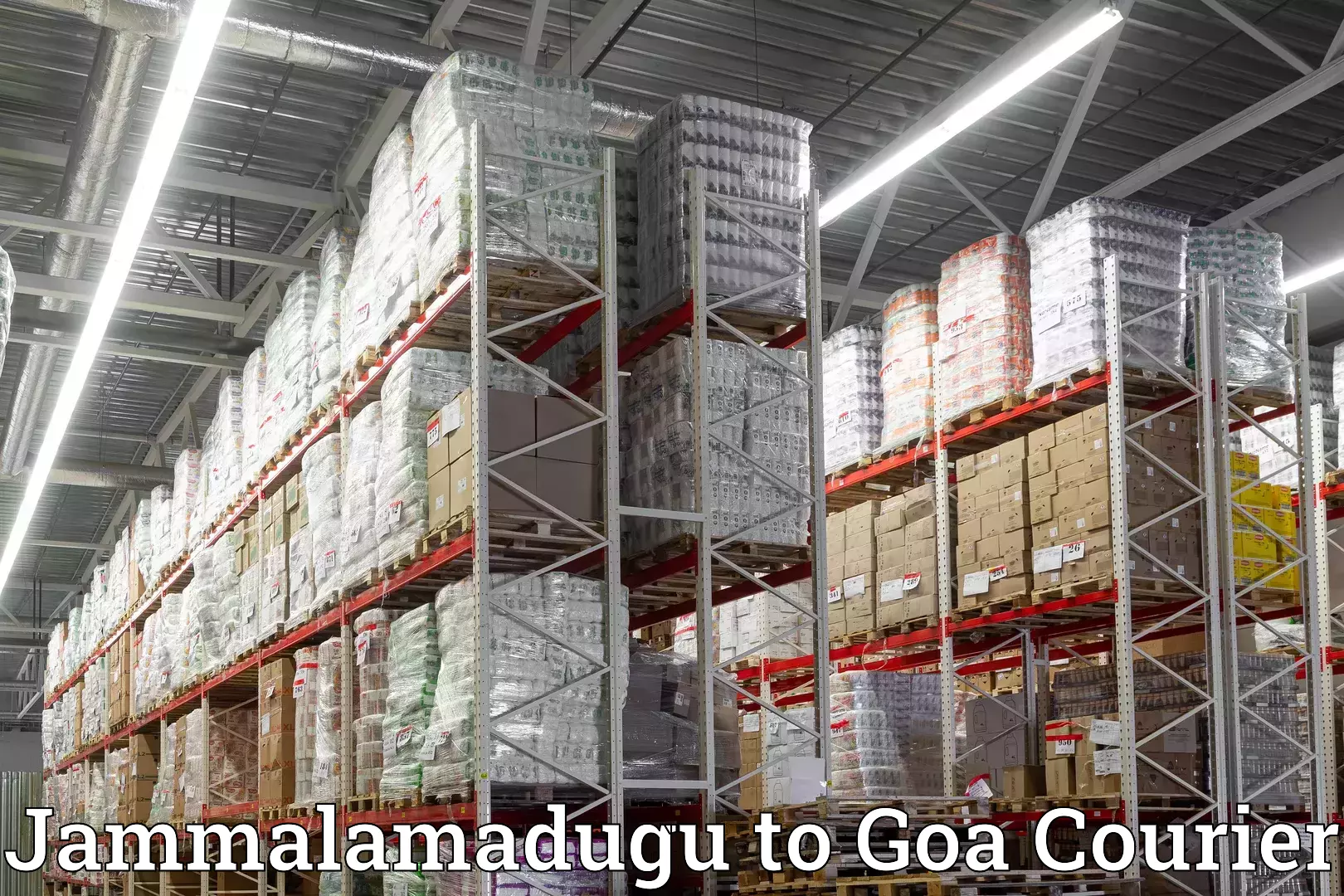 Comprehensive home shifting Jammalamadugu to Vasco da Gama