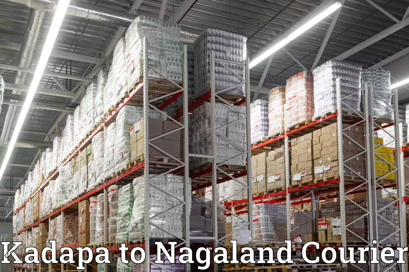 Household transport solutions Kadapa to Nagaland