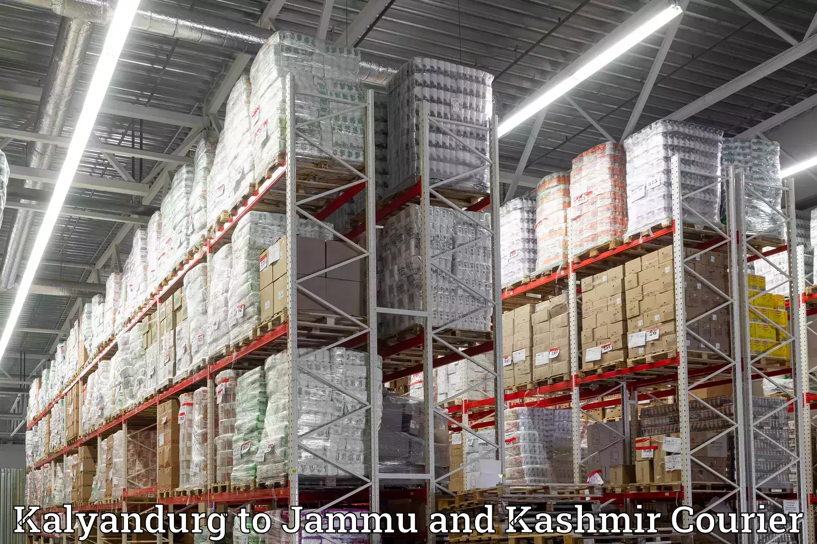 Household moving and handling in Kalyandurg to Jammu and Kashmir