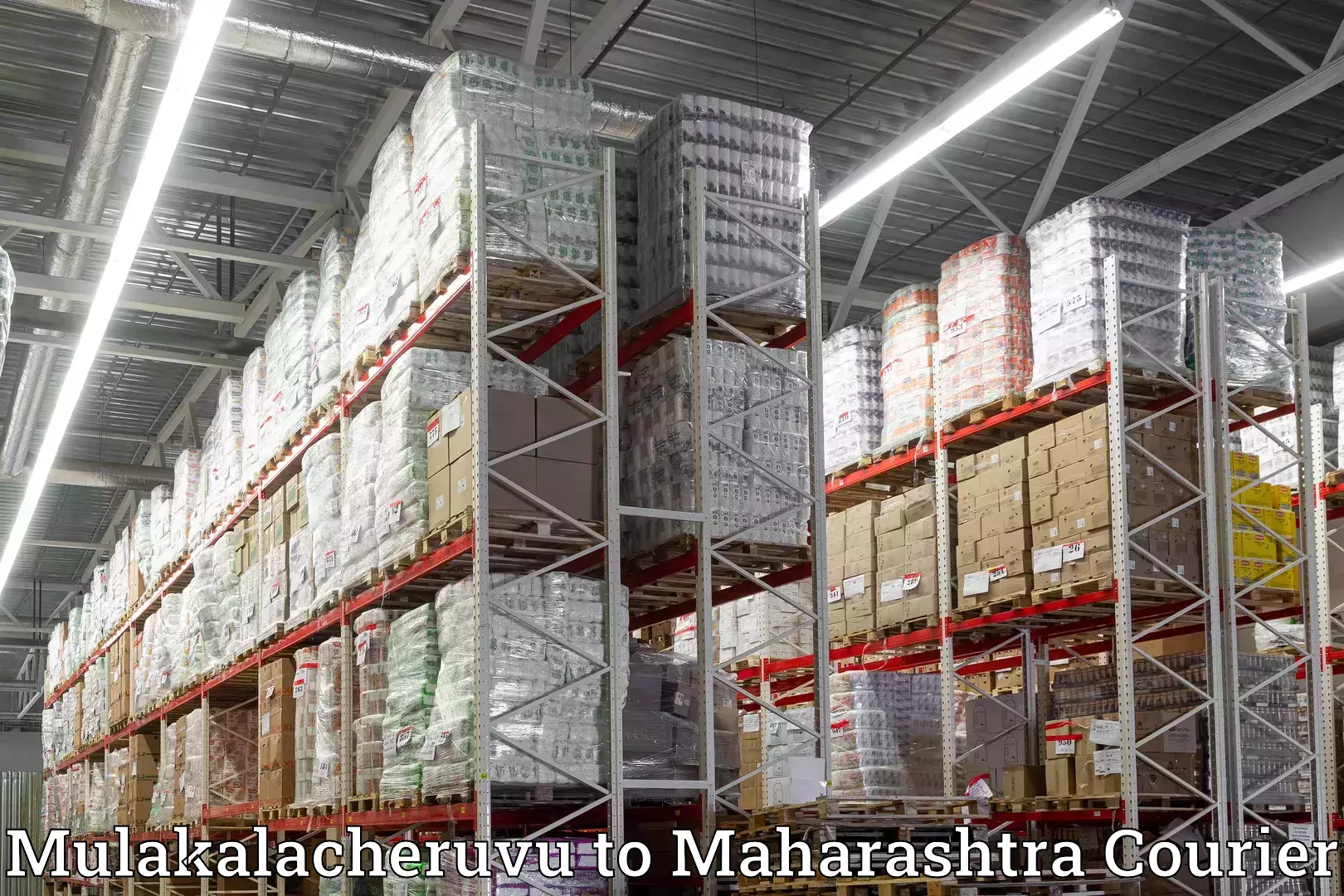 Professional moving strategies Mulakalacheruvu to Nandurbar