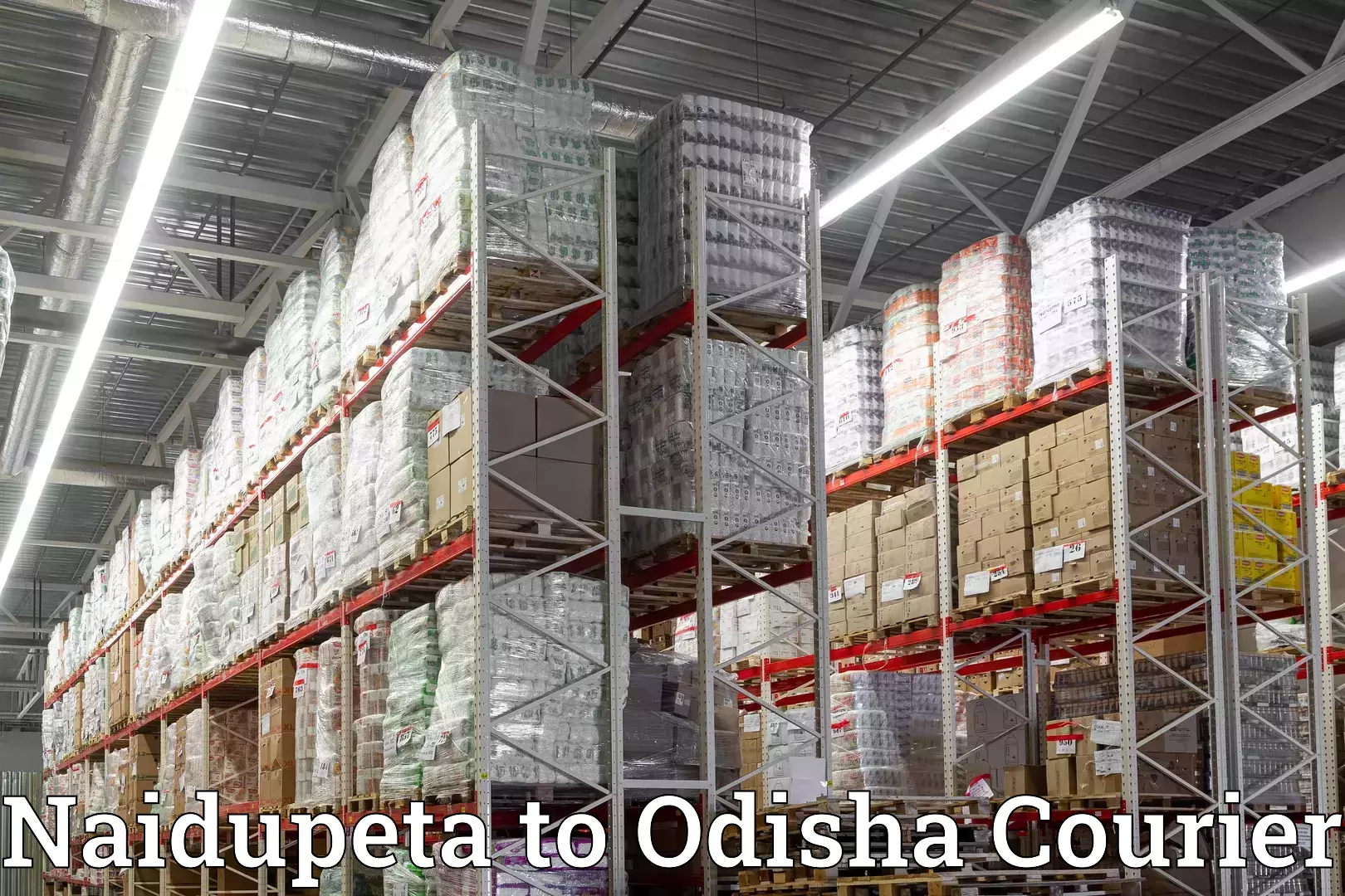 Cost-effective moving options Naidupeta to Odisha