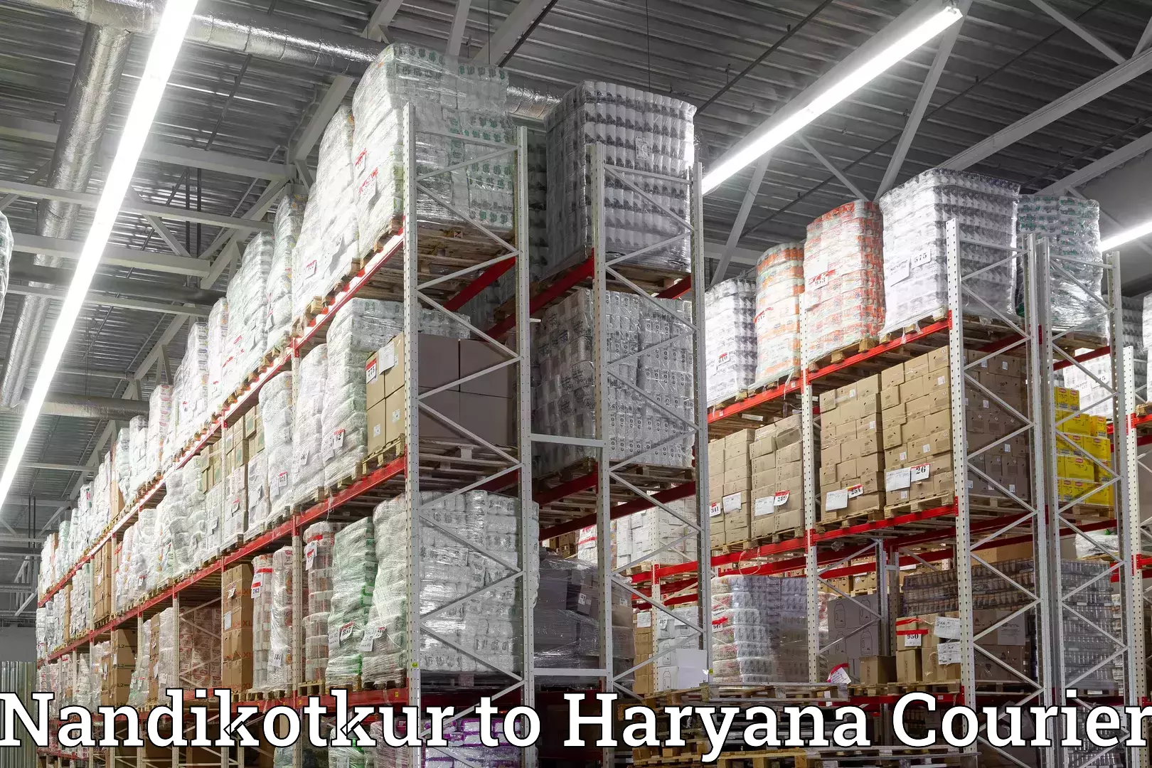 Custom relocation solutions Nandikotkur to Ambala