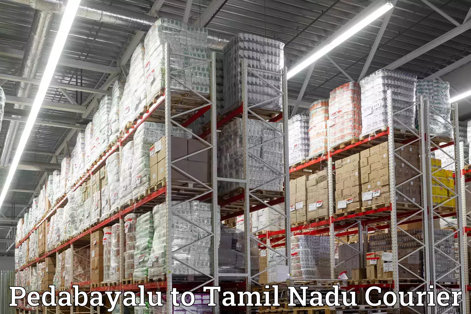 Professional home relocation Pedabayalu to Marakkanam