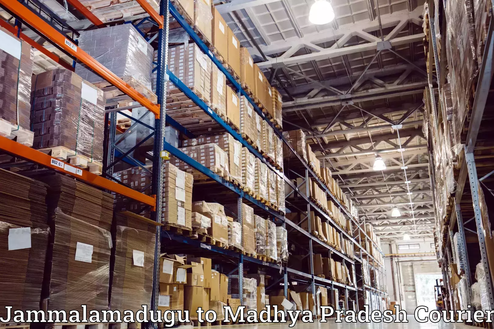 Home goods moving company Jammalamadugu to Satna