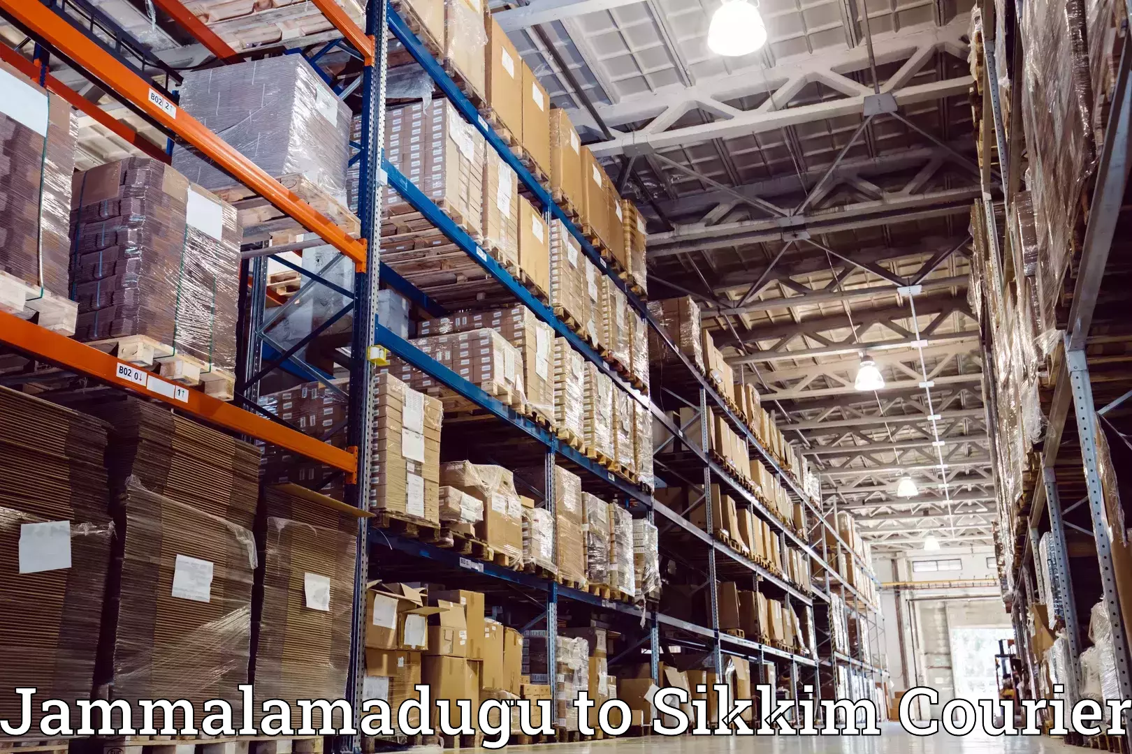 Efficient furniture transport Jammalamadugu to Sikkim