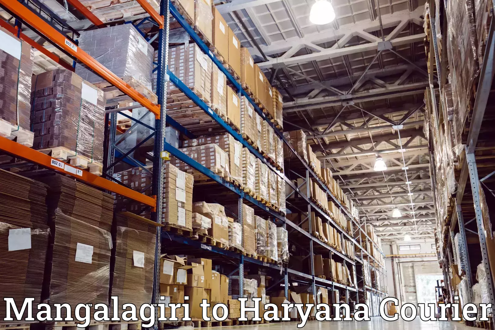 Premium moving services Mangalagiri to NCR Haryana