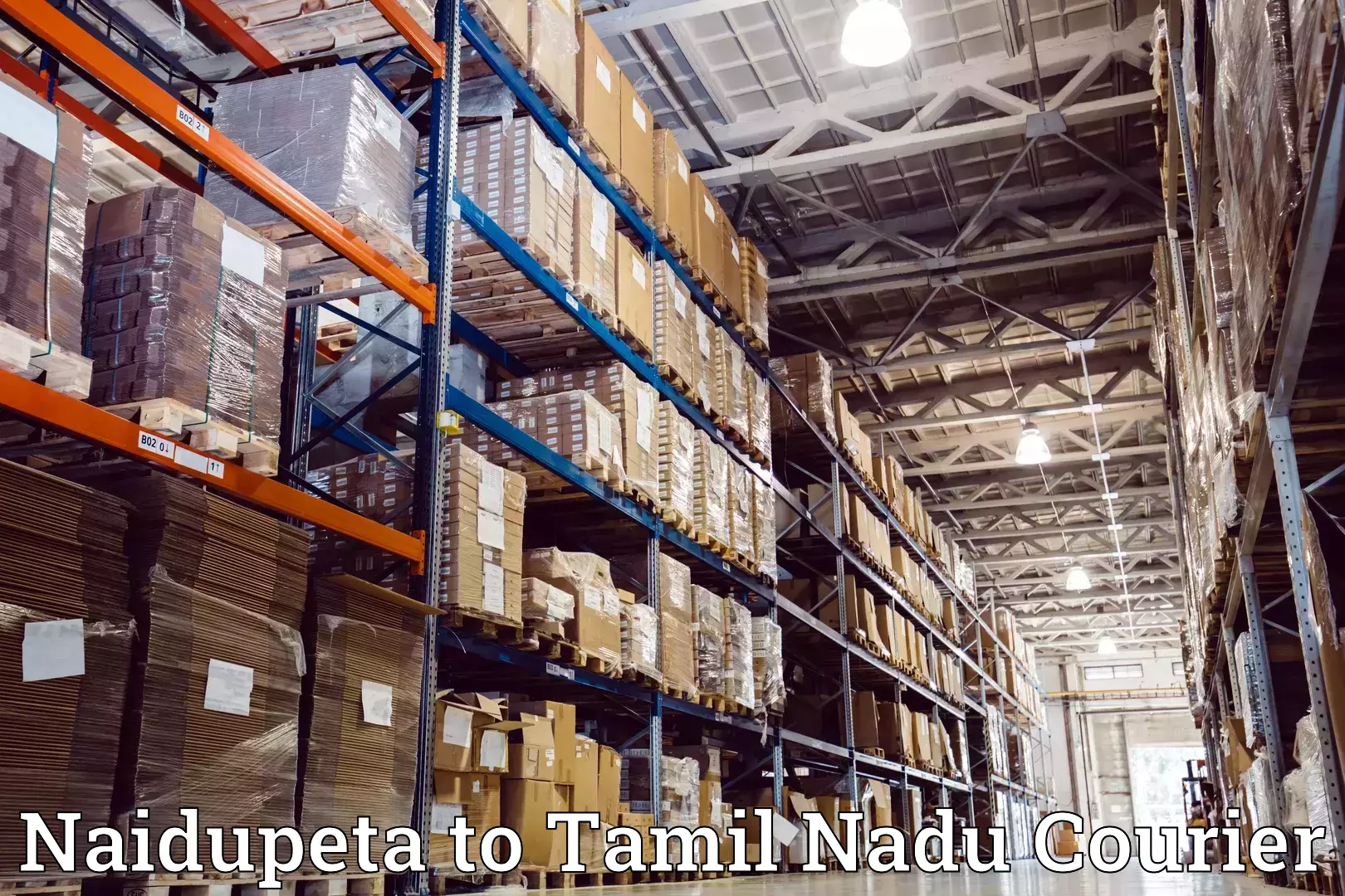 Comprehensive moving assistance Naidupeta to Sankarapuram