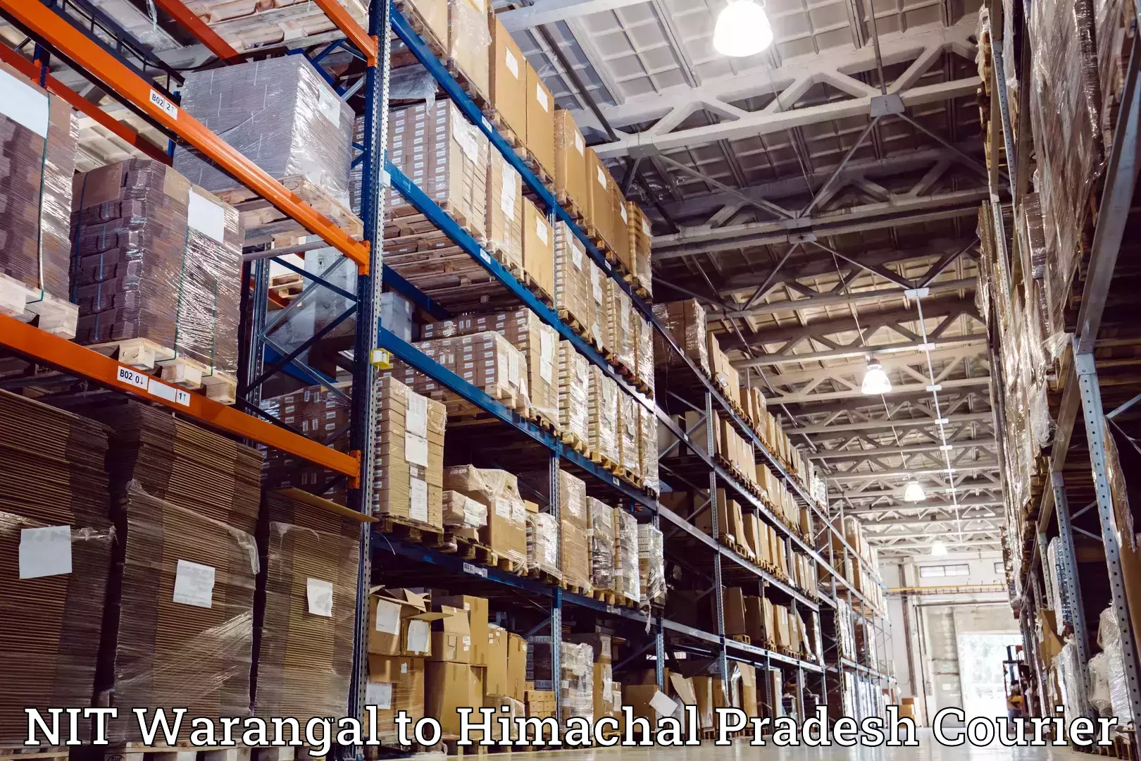 Furniture shipping services NIT Warangal to Himachal Pradesh