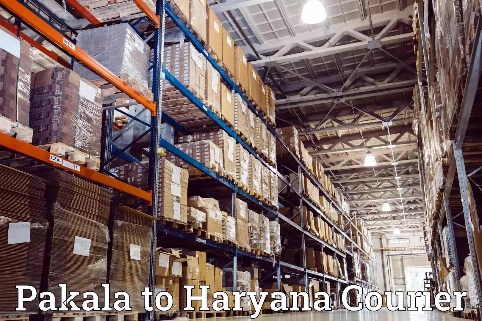 Safe home goods transport Pakala to Narnaul