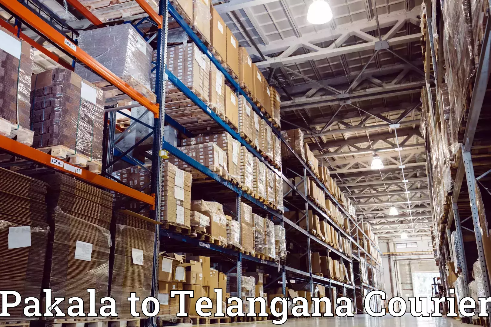 Personalized moving and storage Pakala to Telangana