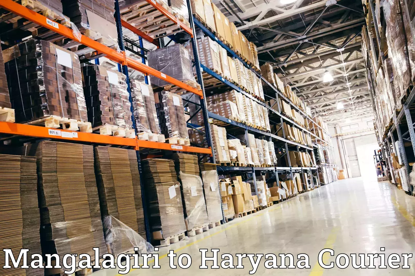 Household transport solutions Mangalagiri to NCR Haryana