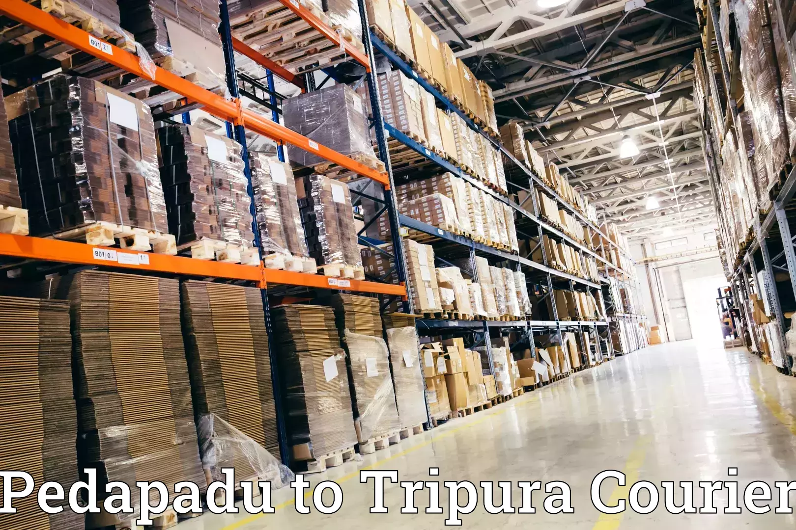 Stress-free household moving Pedapadu to Udaipur Tripura