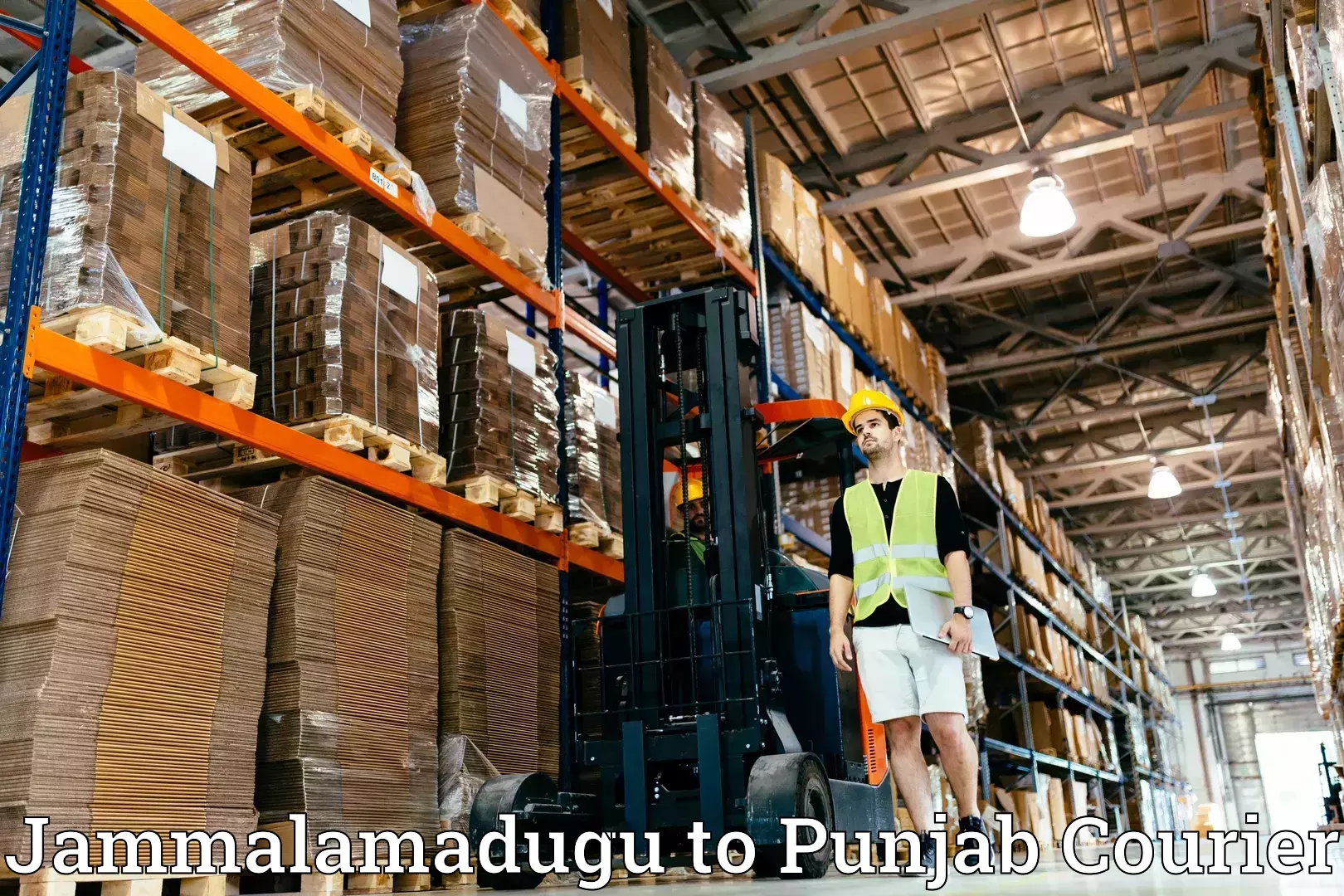 Professional furniture transport in Jammalamadugu to Adampur Jalandhar