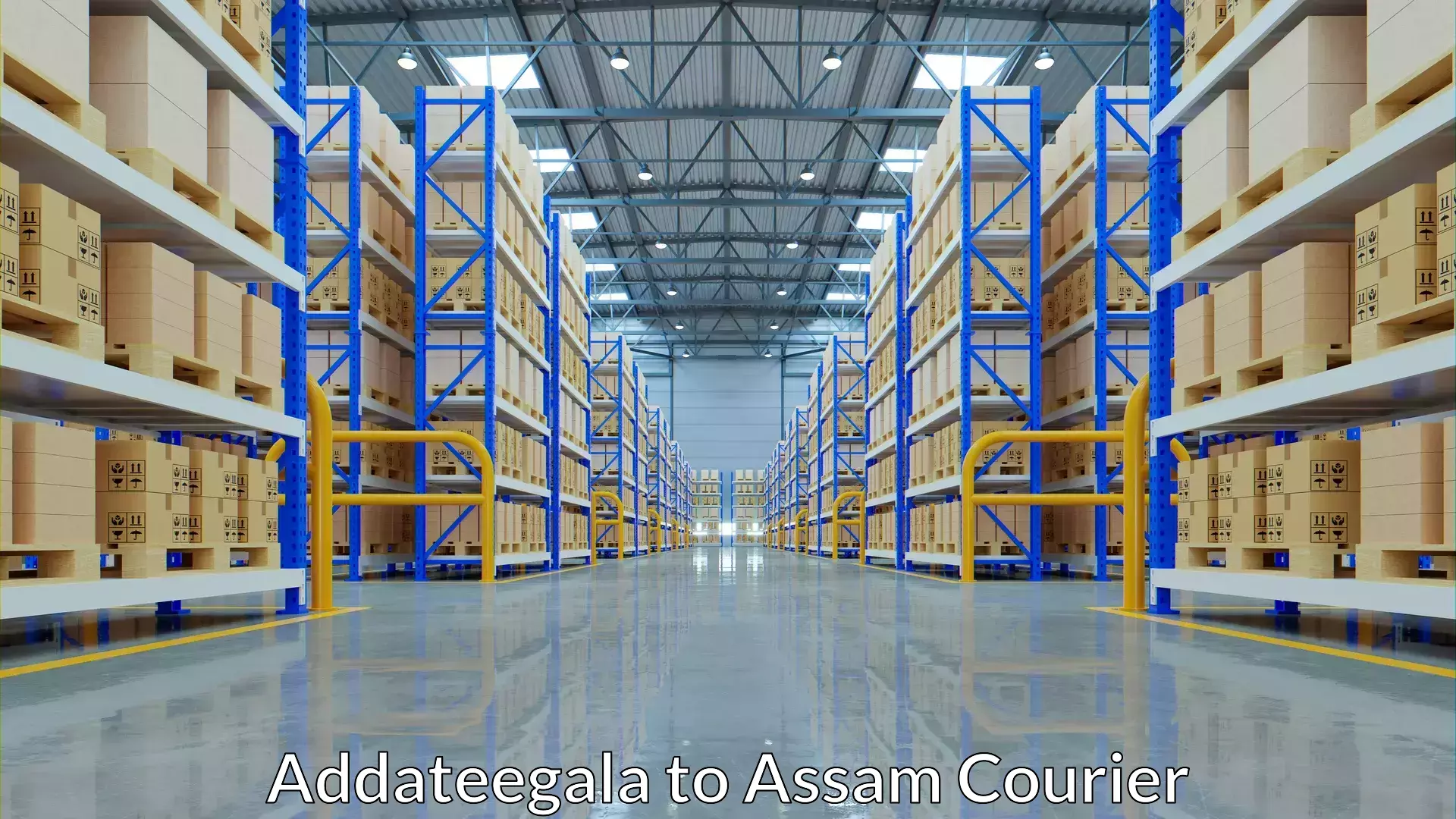 Affordable luggage courier Addateegala to Hojai