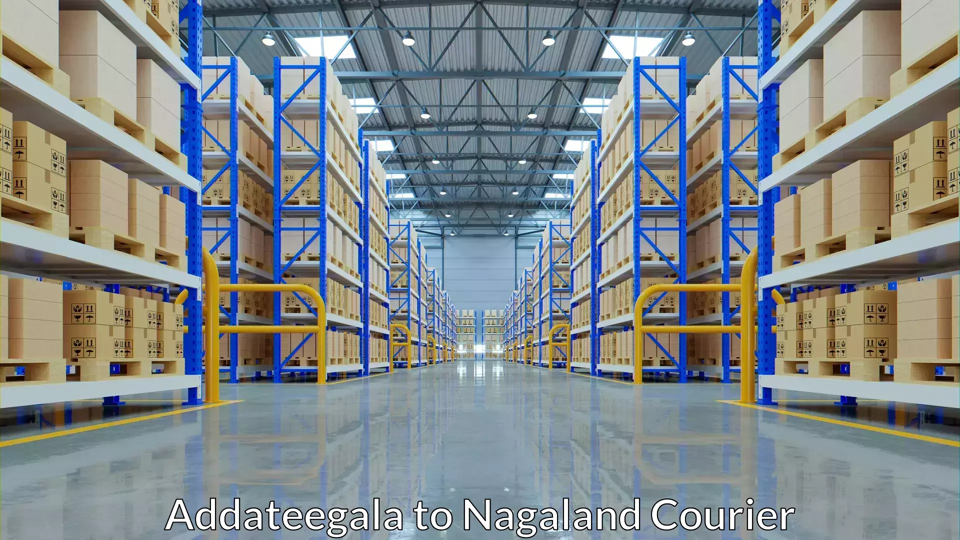 International baggage delivery Addateegala to NIT Nagaland