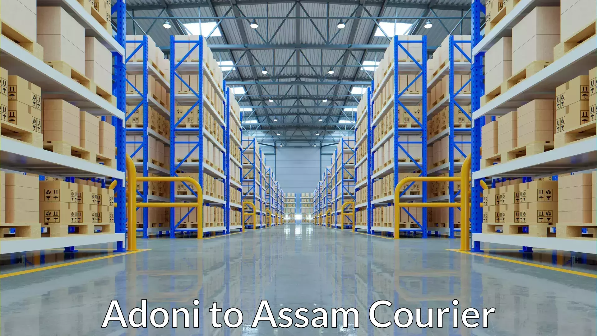 Baggage courier insights Adoni to Bokajan