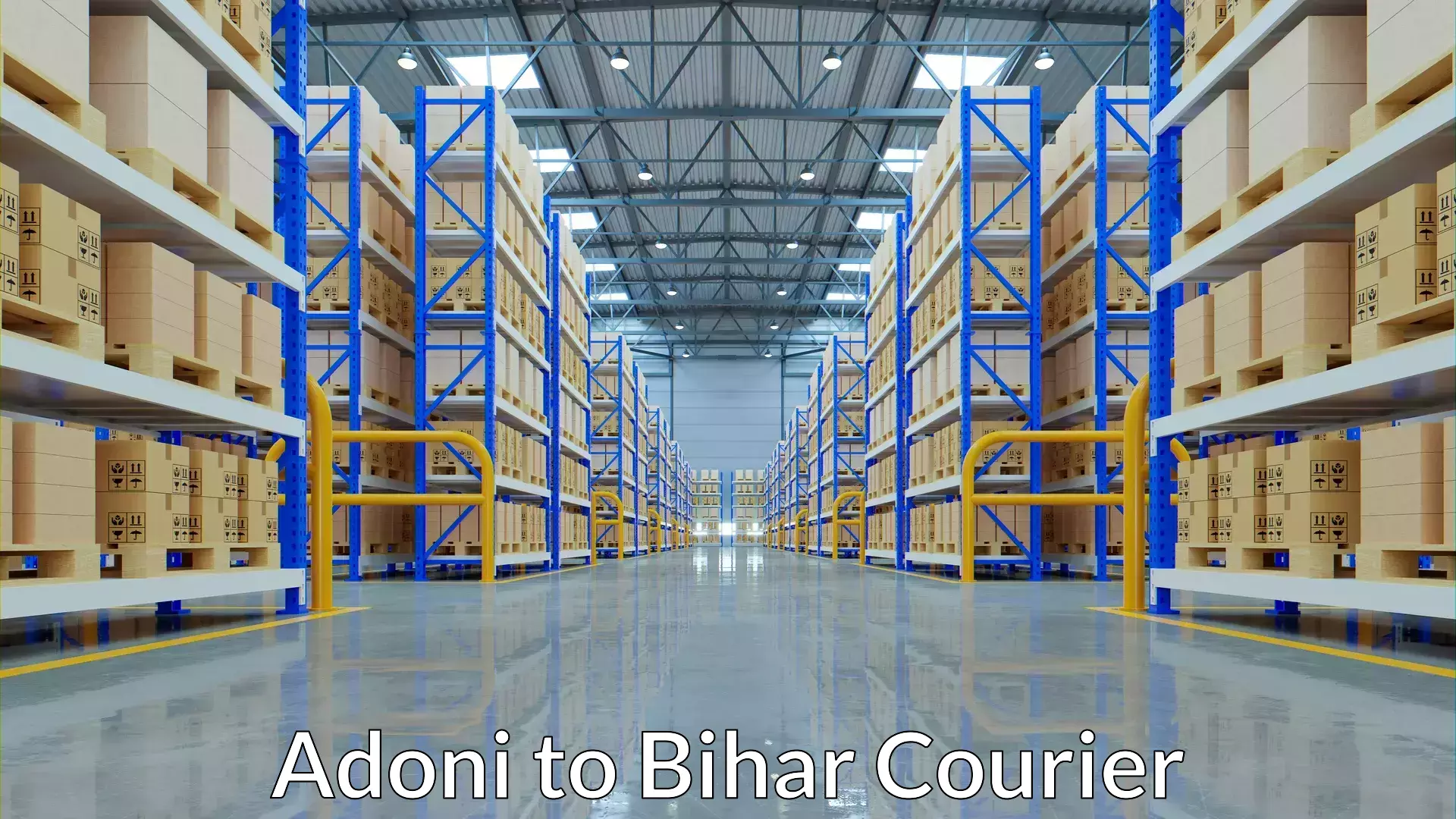 Baggage courier insights Adoni to Bihar