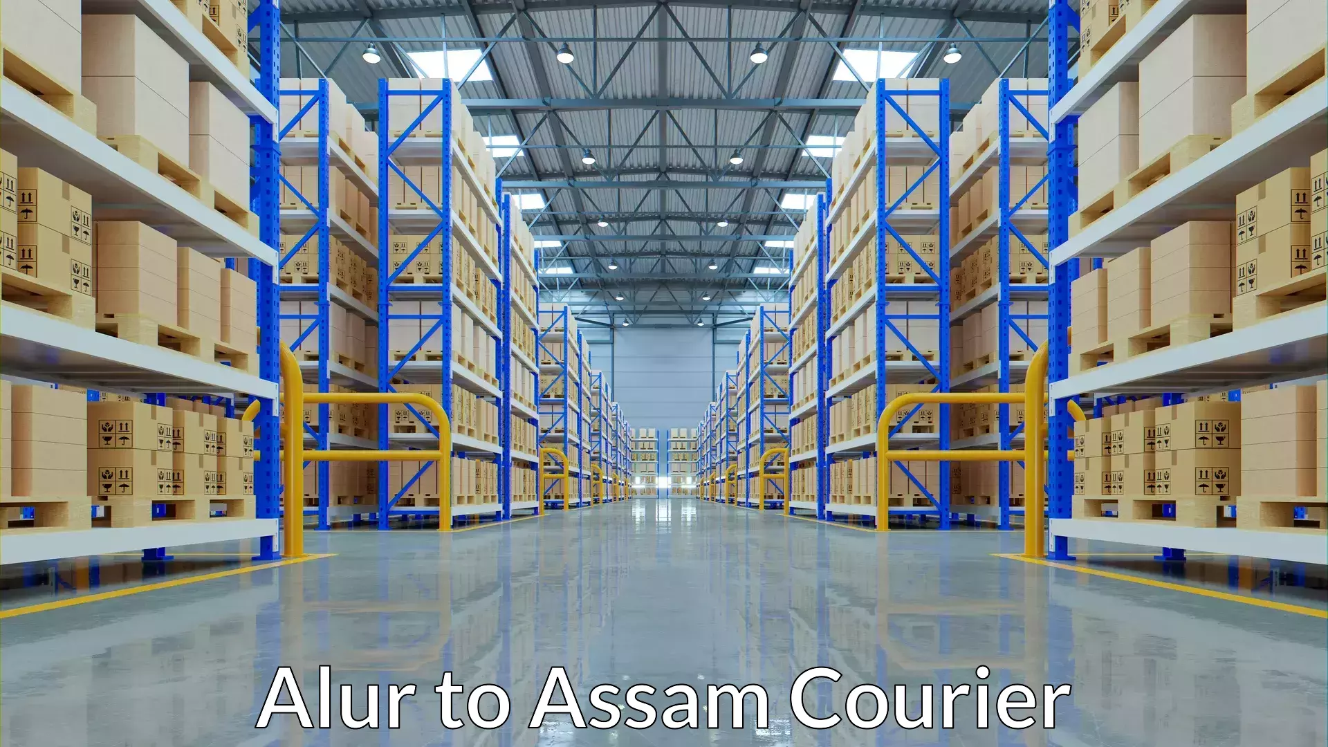 Luggage shipment specialists Alur to Sarupathar