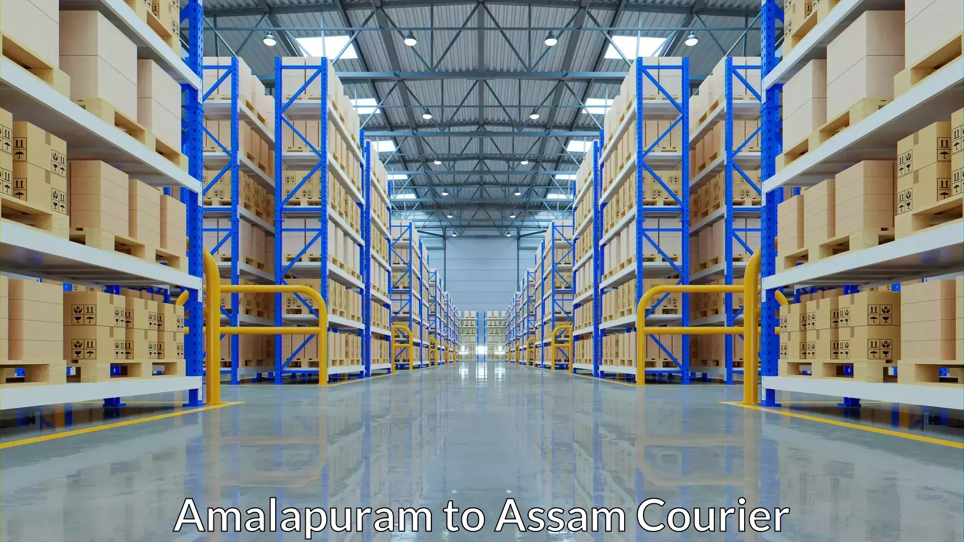 Comprehensive baggage service Amalapuram to Golakganj