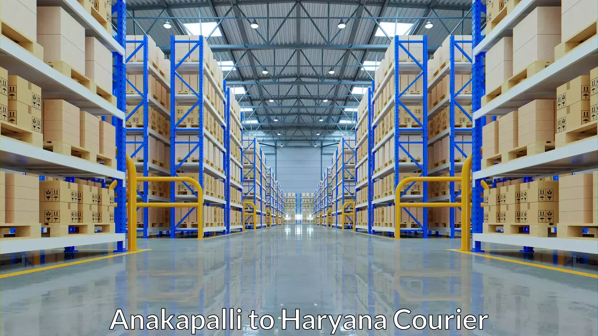 Digital baggage courier Anakapalli to Gurugram