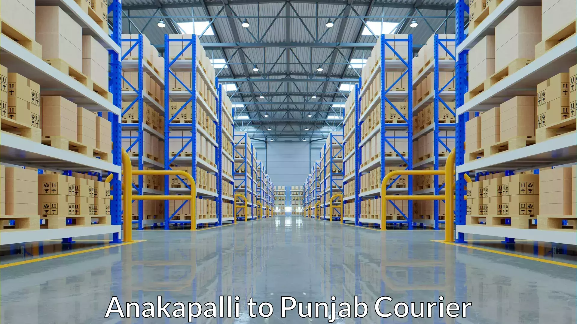 Luggage shipping efficiency Anakapalli to Dhuri