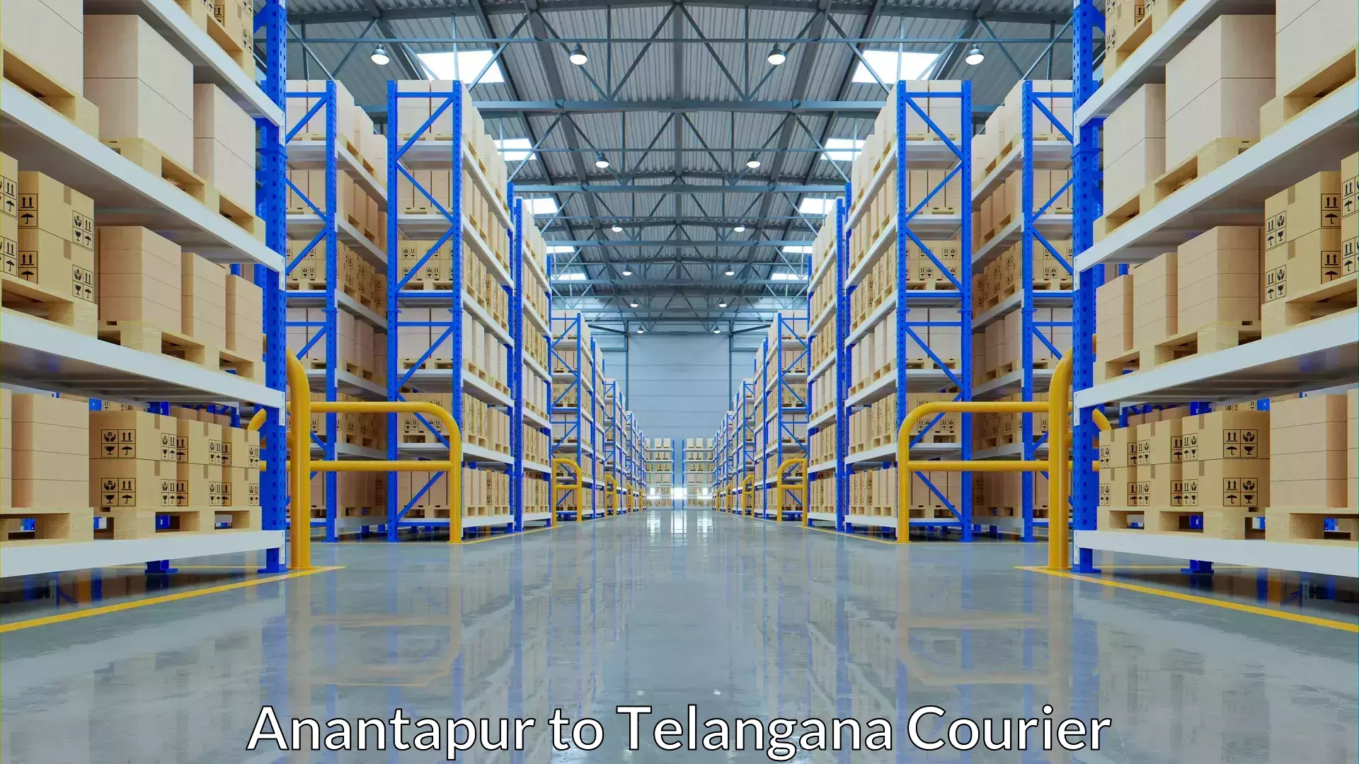 Express luggage delivery Anantapur to Mahabubnagar