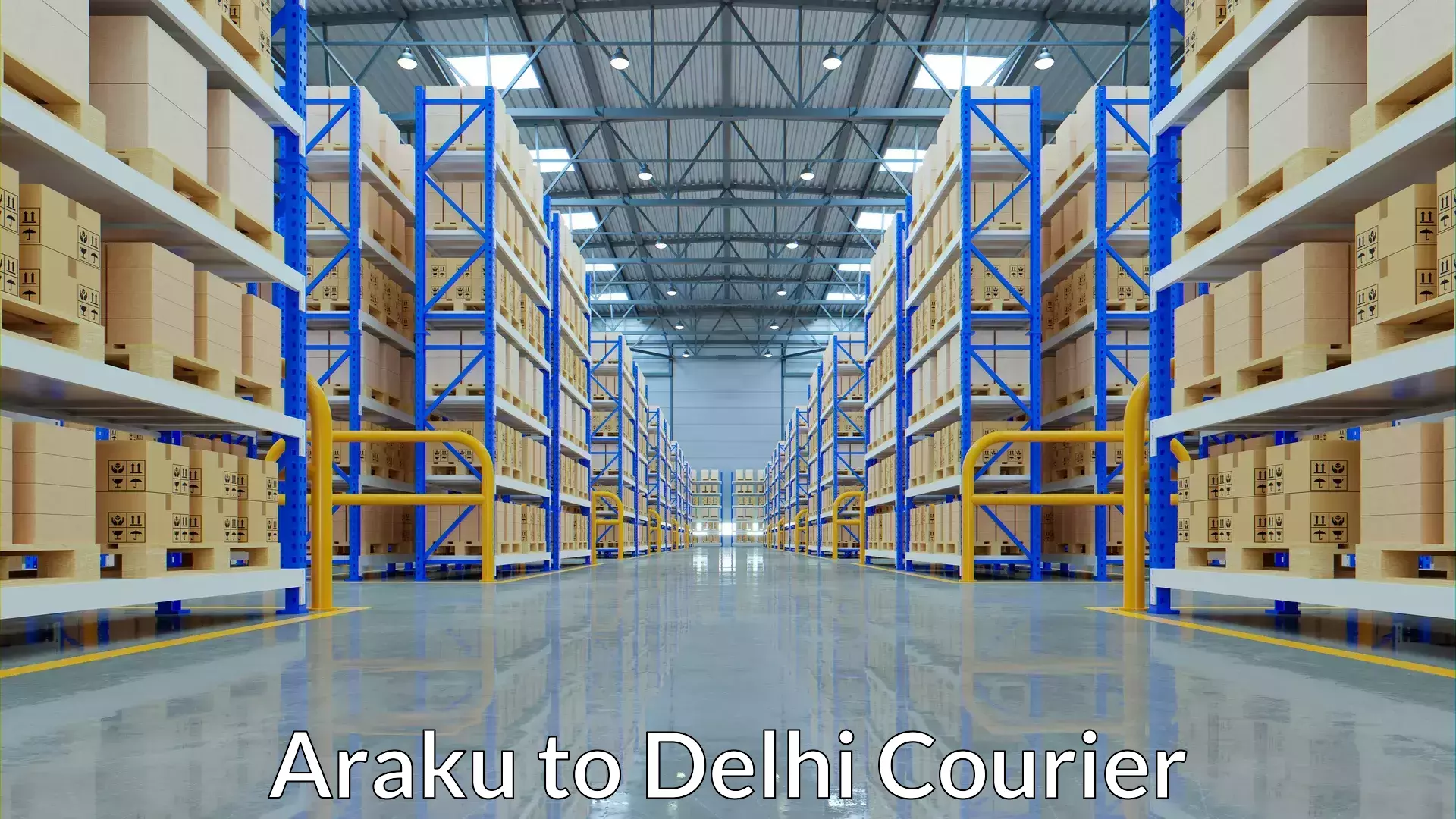 Direct baggage courier Araku to Sarojini Nagar