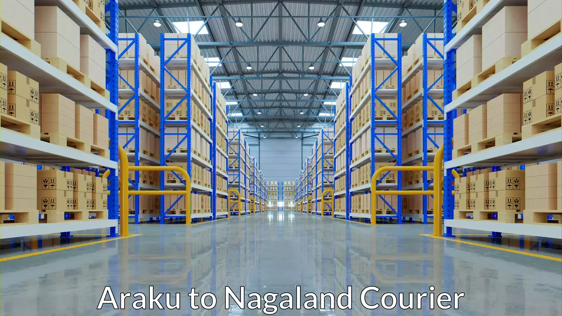 Flexible luggage courier service Araku to Nagaland