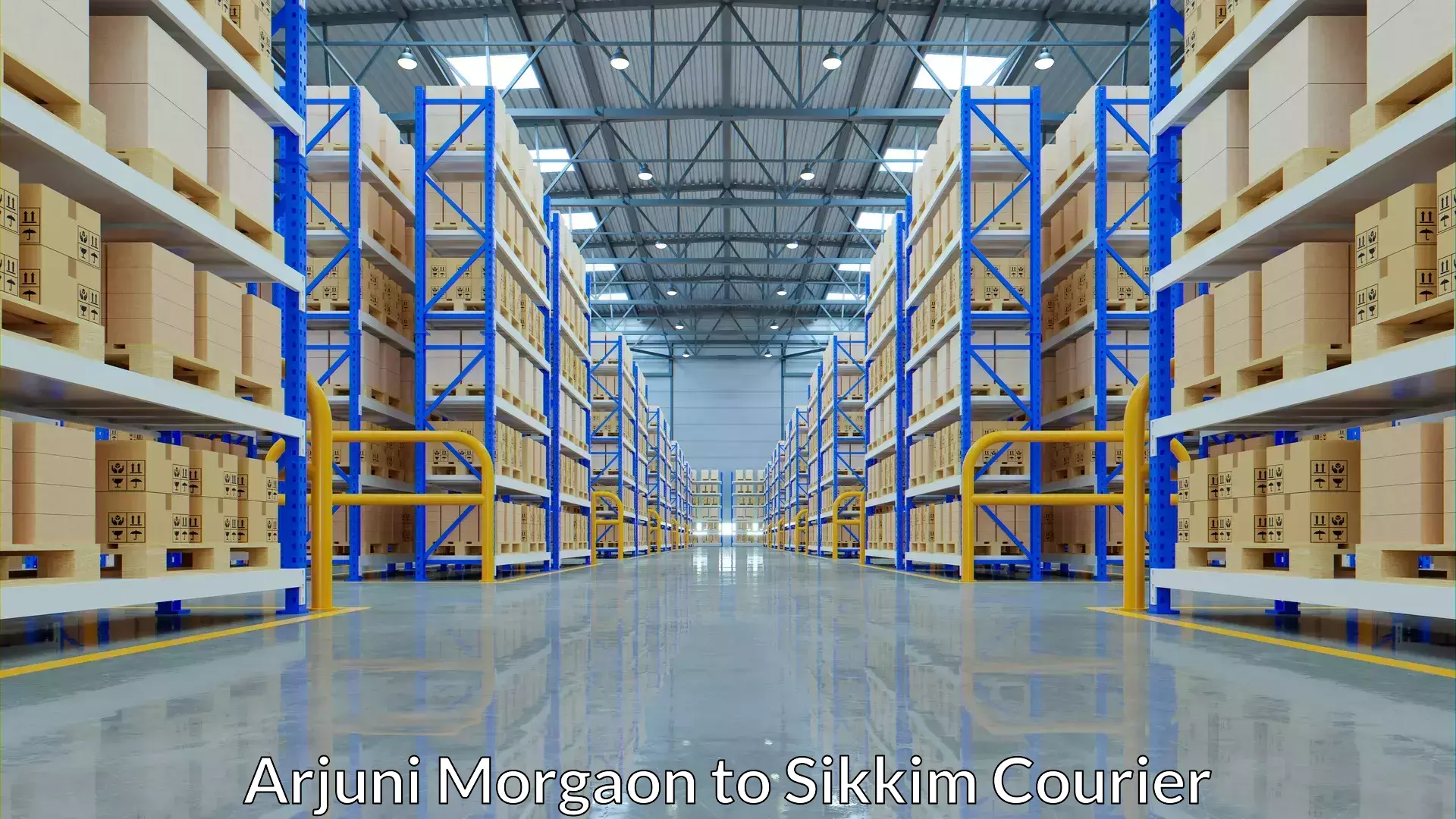 Nationwide luggage courier Arjuni Morgaon to NIT Sikkim