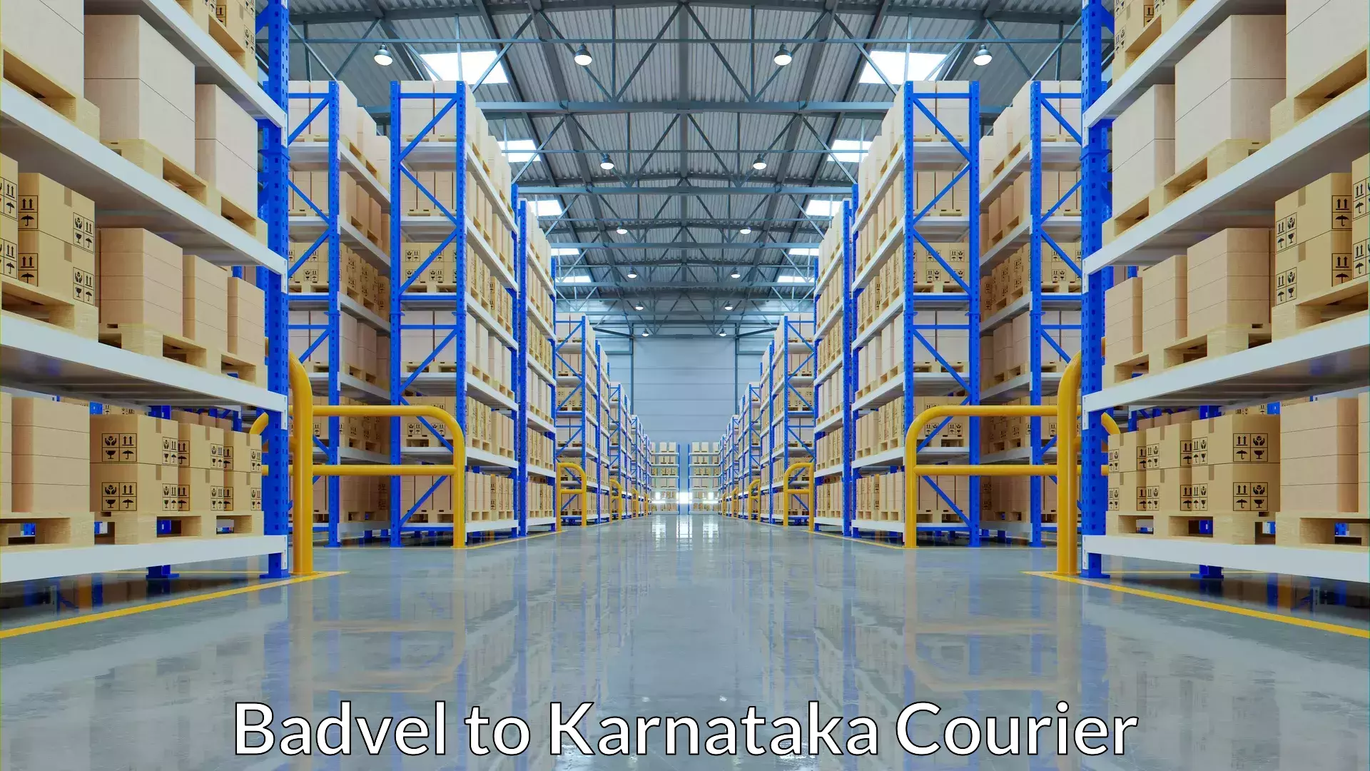 Express baggage shipping Badvel to Karnataka