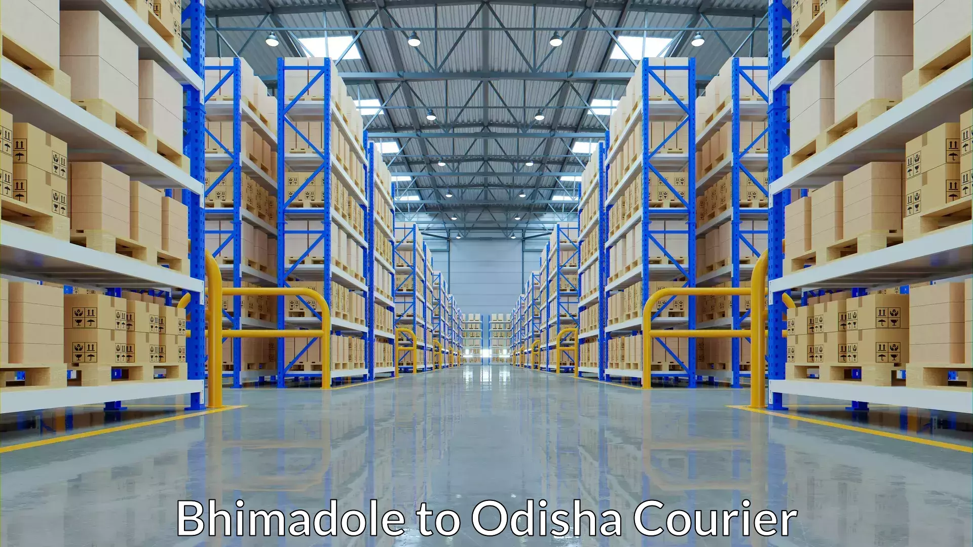 Single item baggage courier Bhimadole to Bissam Cuttack