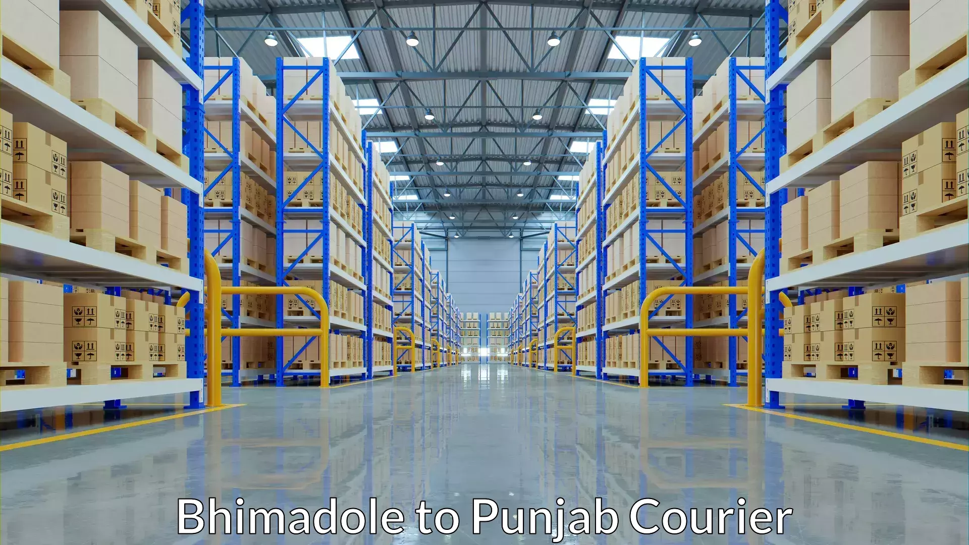 Personal baggage courier Bhimadole to Guru Nanak Dev University Amritsar