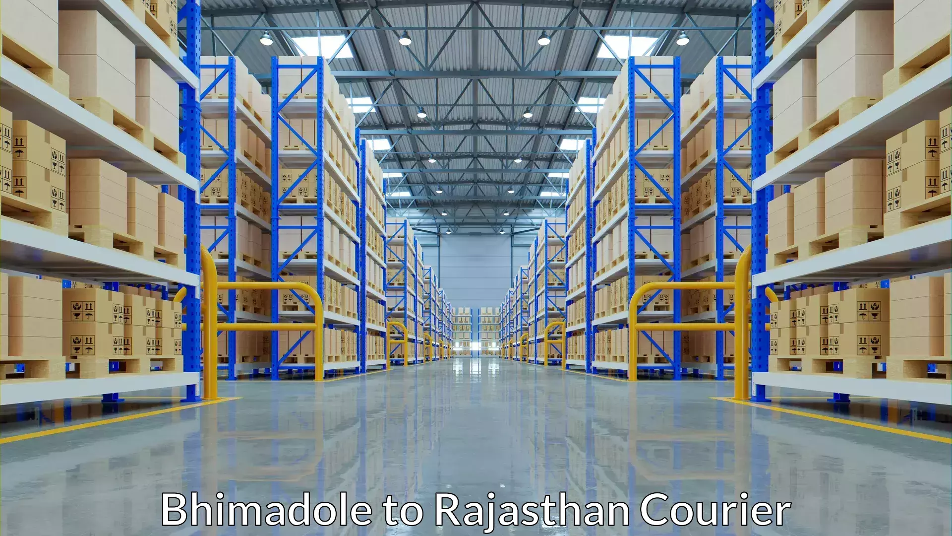 Digital baggage courier Bhimadole to NIT Jaipur