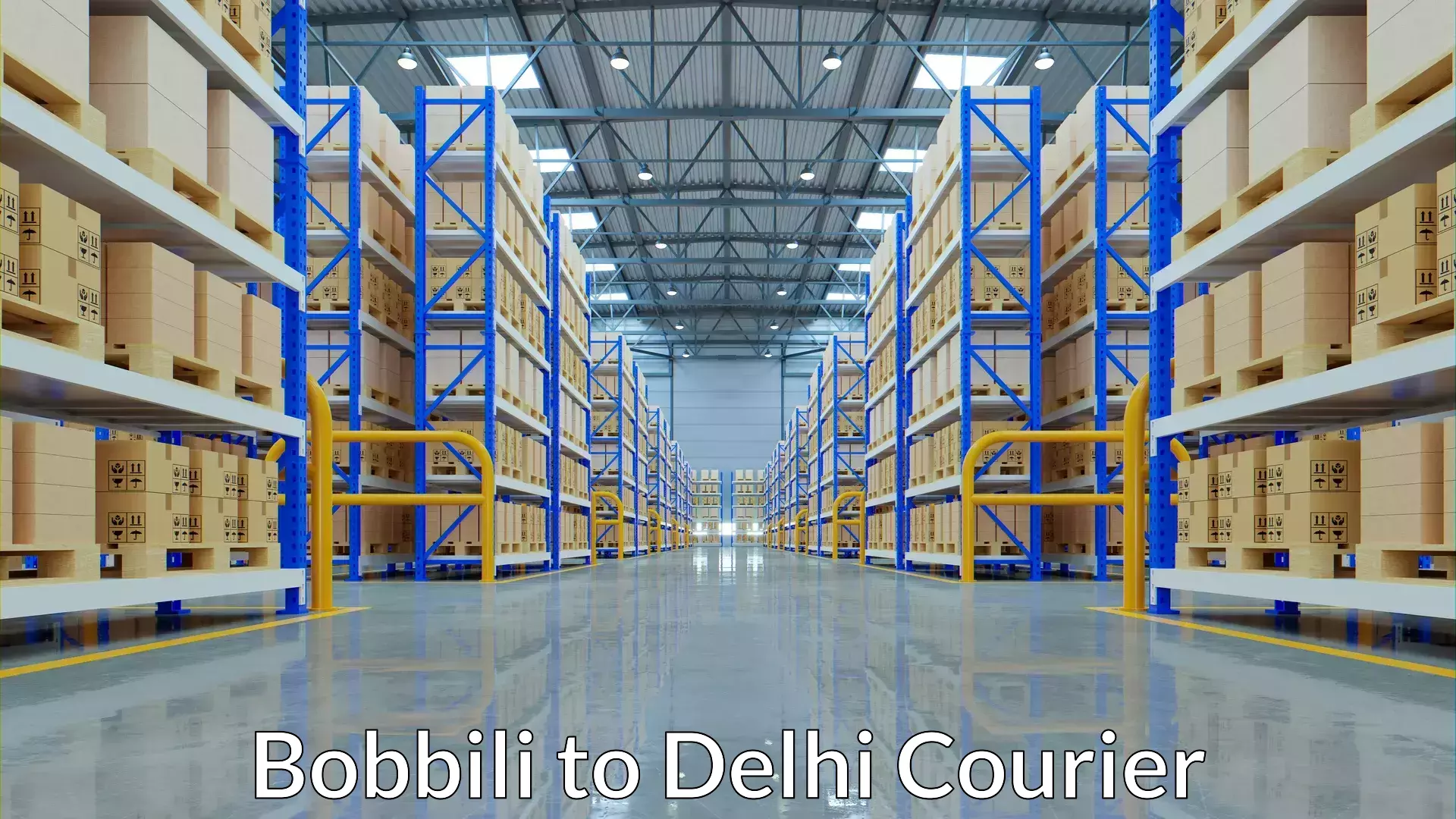 Baggage courier strategy Bobbili to Delhi