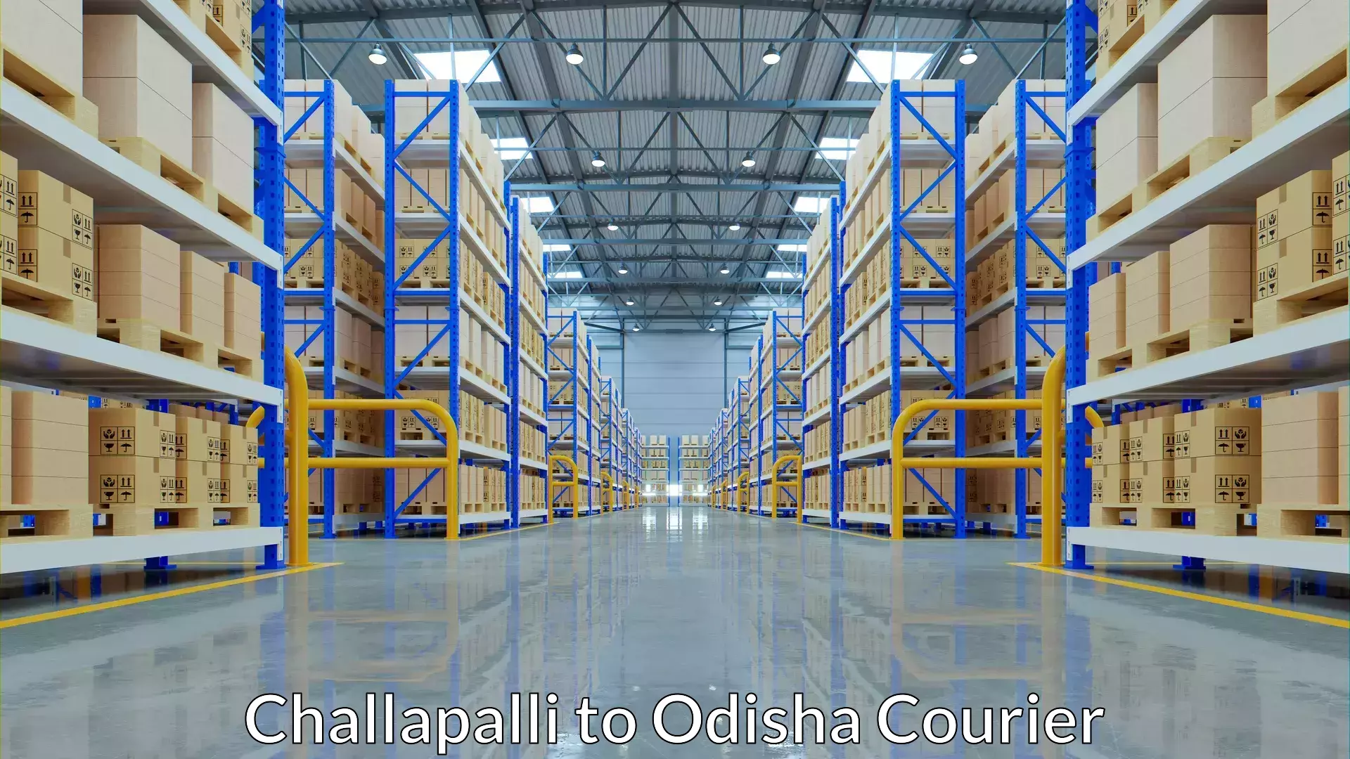 Luggage storage and delivery Challapalli to Dhamanagar