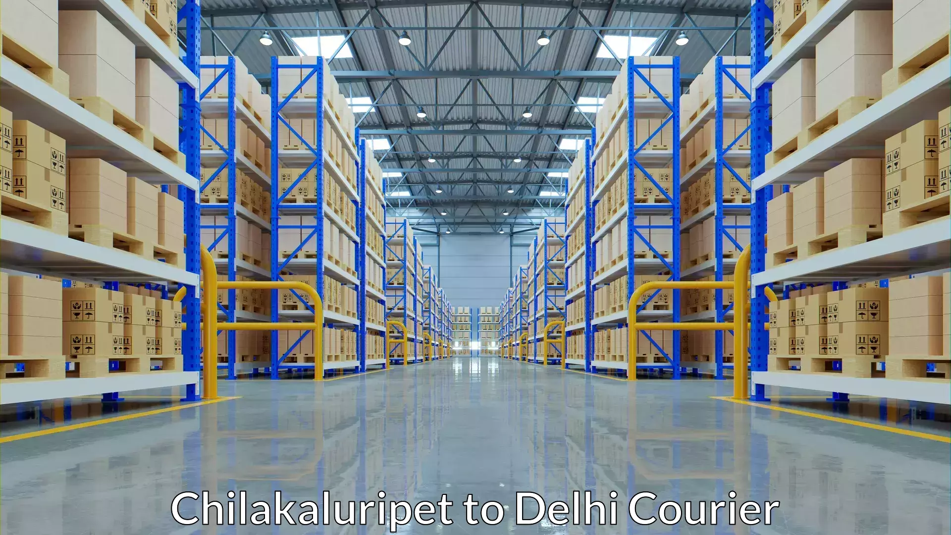 Baggage courier solutions Chilakaluripet to NIT Delhi