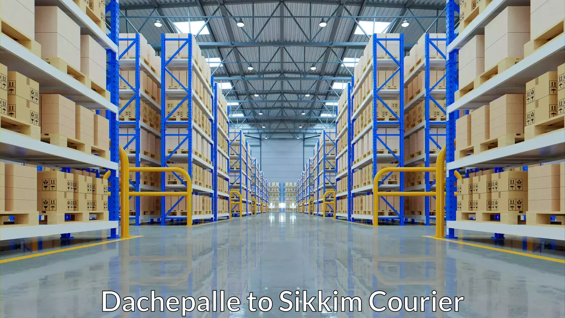 Luggage shipping solutions Dachepalle to East Sikkim