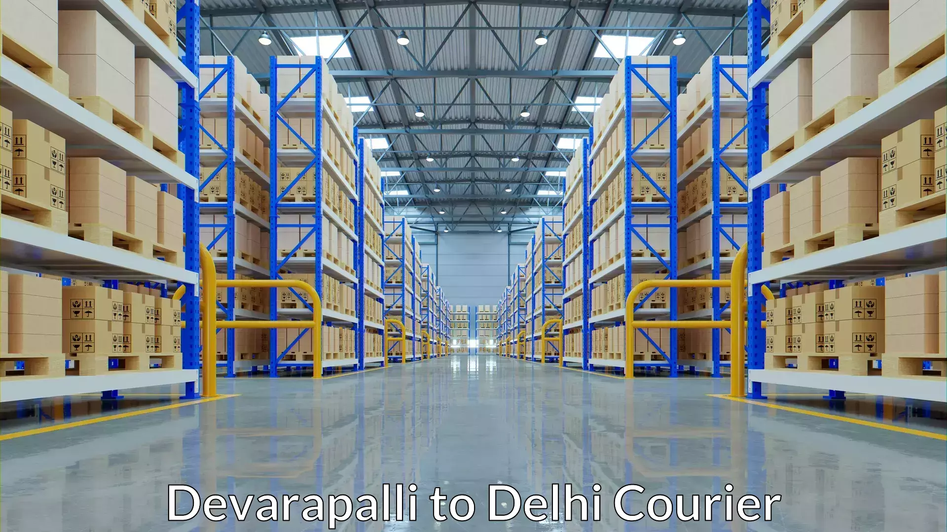 Baggage transport management Devarapalli to Delhi