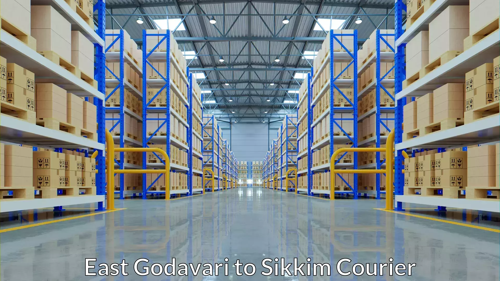 Luggage courier excellence in East Godavari to West Sikkim