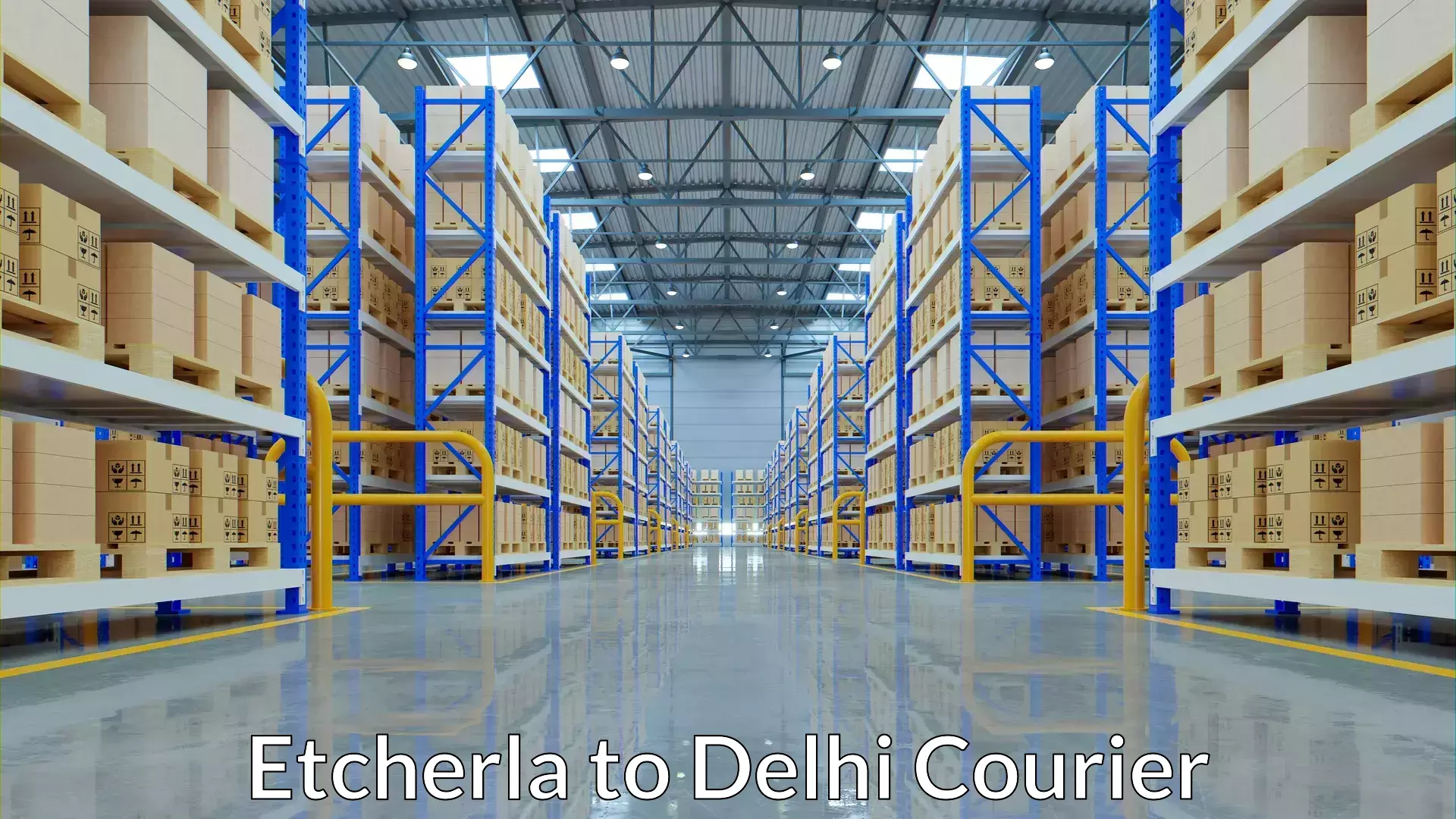 Luggage transport pricing Etcherla to Delhi