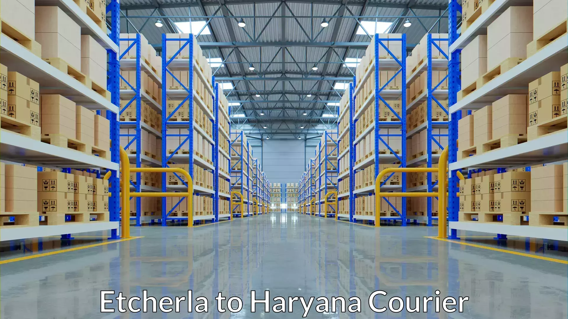 Luggage dispatch service Etcherla to Haryana