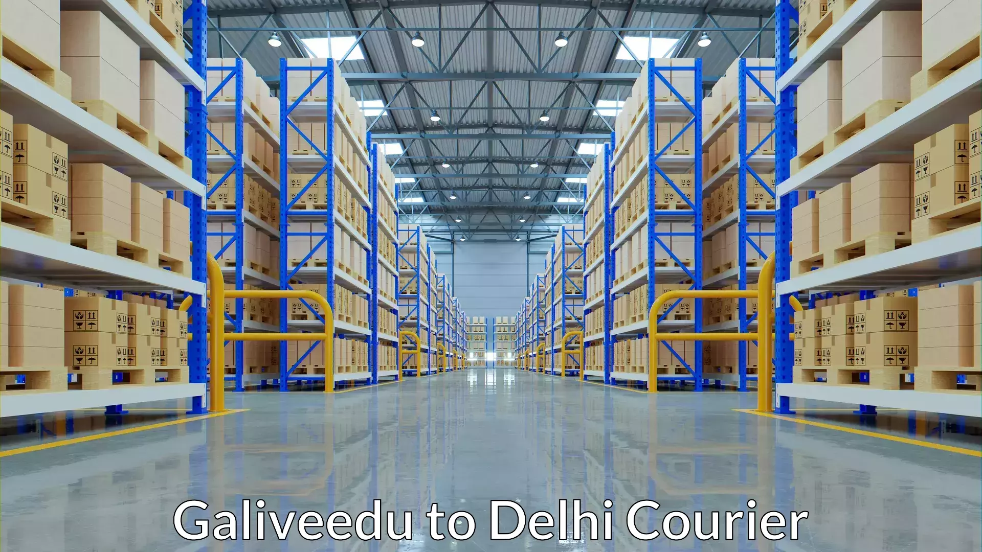 Luggage shipping service Galiveedu to University of Delhi