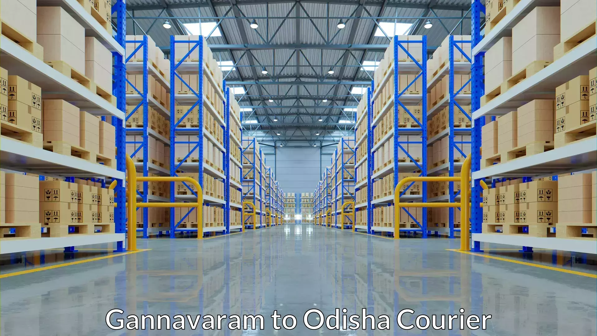 Baggage courier solutions Gannavaram to IIT Bhubaneshwar