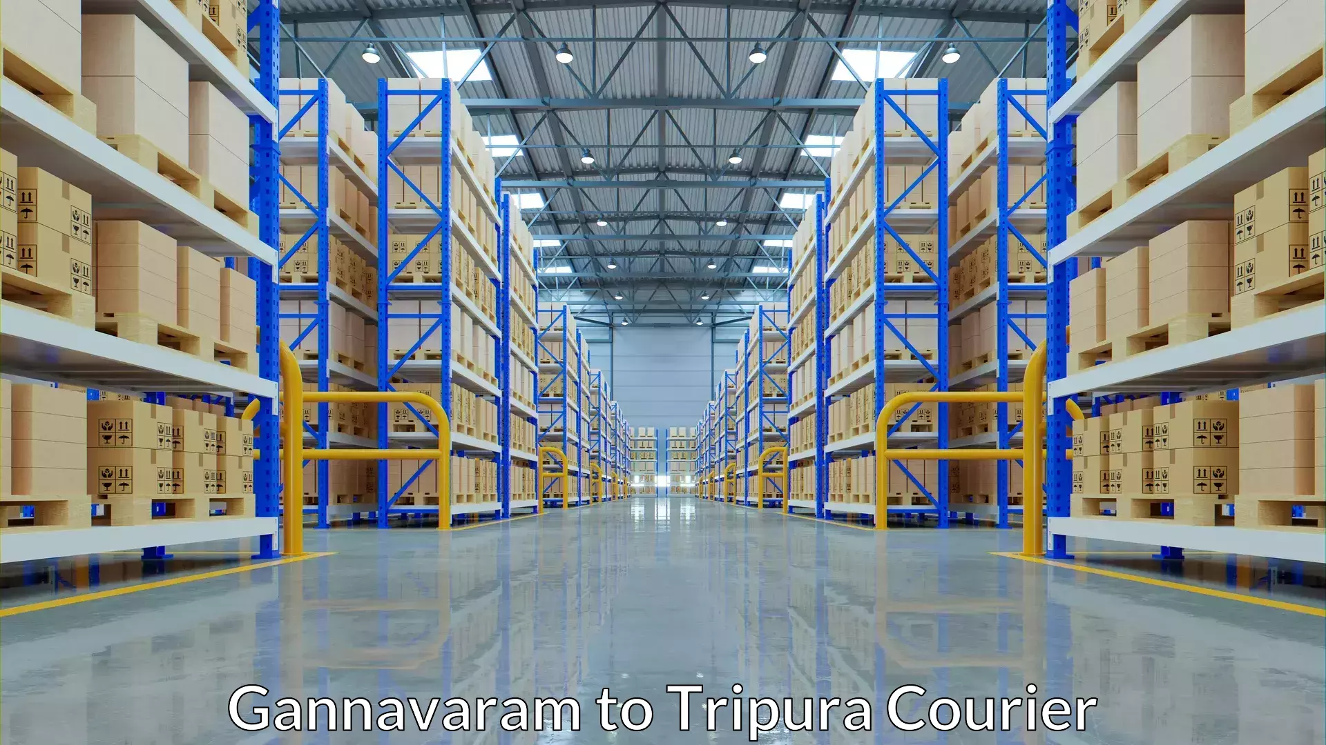 Luggage transport tips Gannavaram to Sonamura