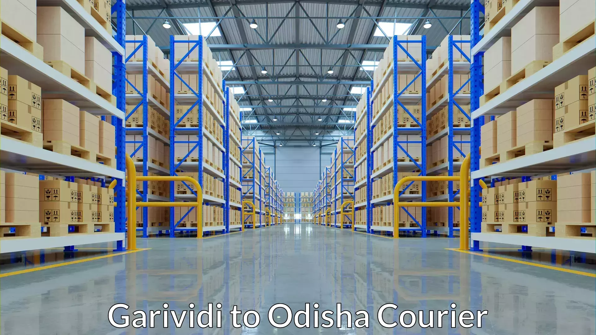 Luggage transport operations Garividi to Odisha